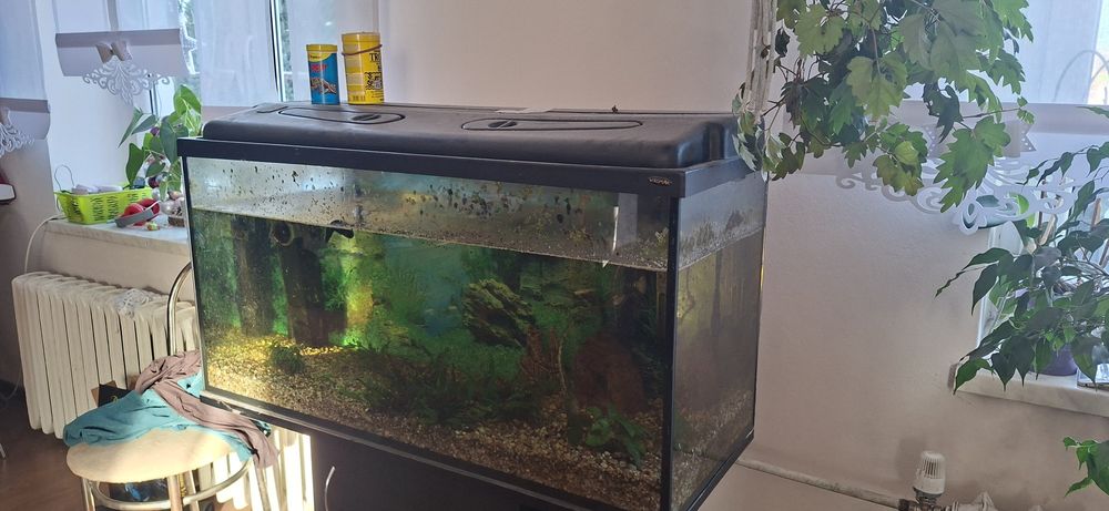 Sprzedam Akwarium