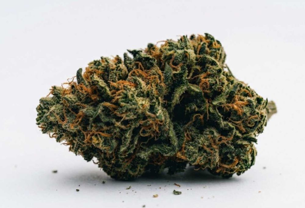 Susz CBD Premium Super Skunk #1 - 10 gramów. Najwyższa jakość! Certyfikat legalności!