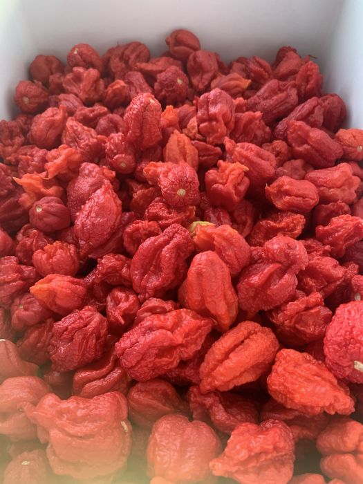 Malaguetas carolina reaper