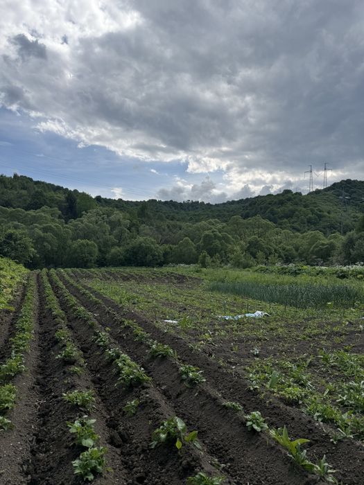Продається ділянка з виходом до річки