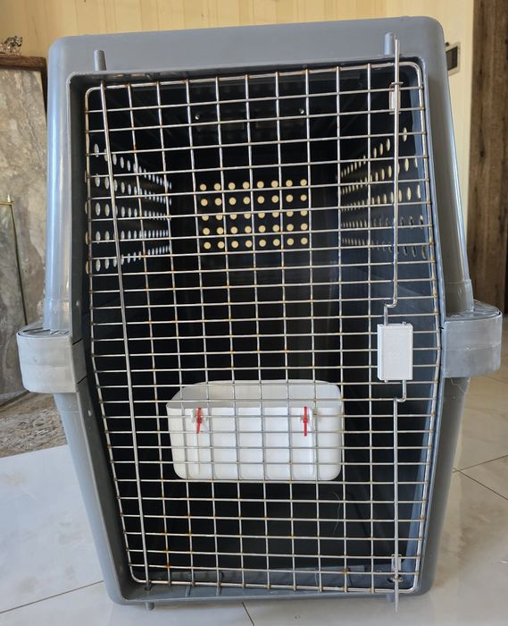 Авиабокс для крупной собаки