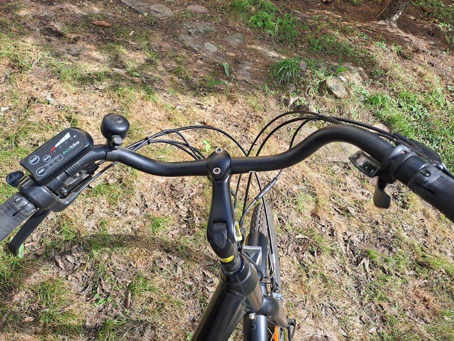Rower elektryczny ecobike basic