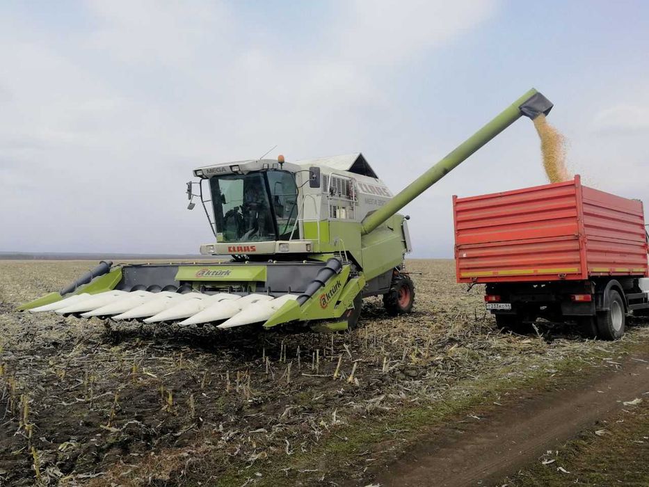 Жатка кукурузная Актюрк. 8-ми рядная. Жатка для збирання кукурудзи