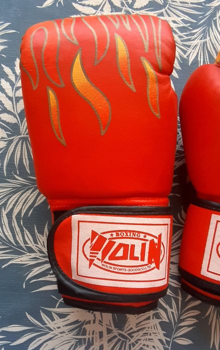 Luvas Boxe (bom estado)