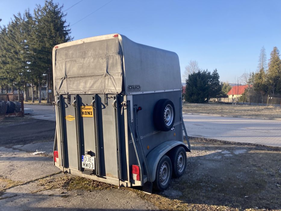 Trasnport koni , wypożyczenie  przyczepy.