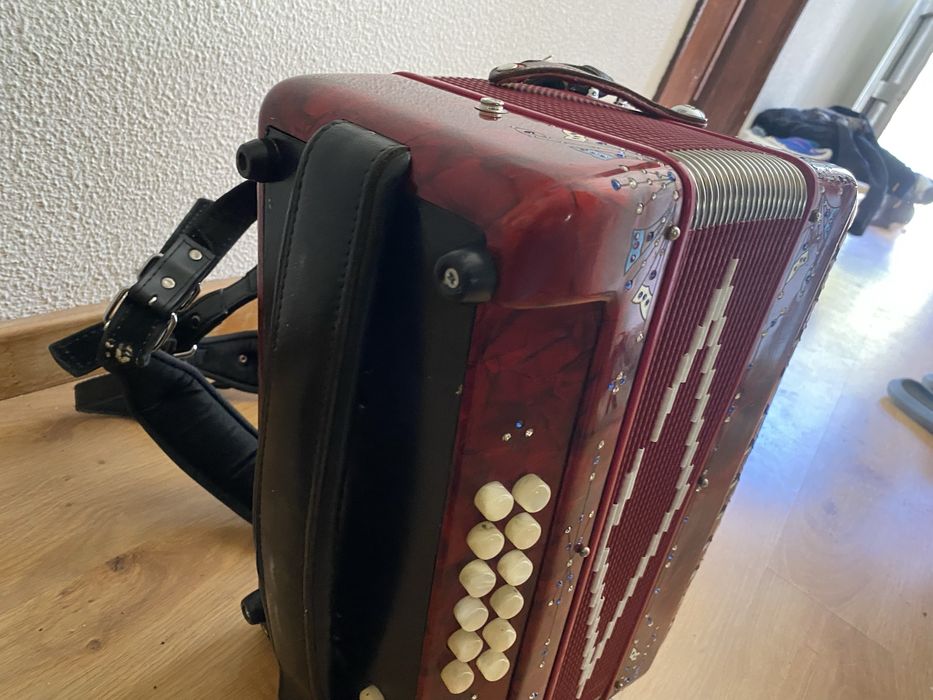 concertina gabannelli