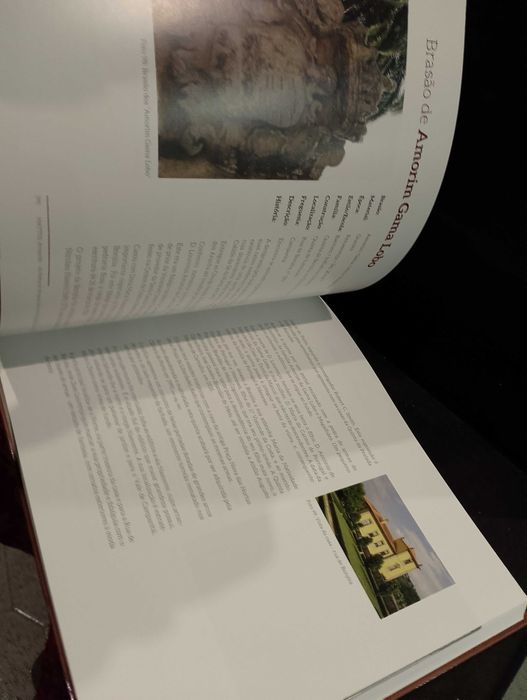 Brasões e Pedras de Armas da Cidade do Porto - Manuel Cunha