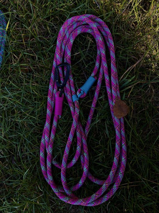 Поводок для собак