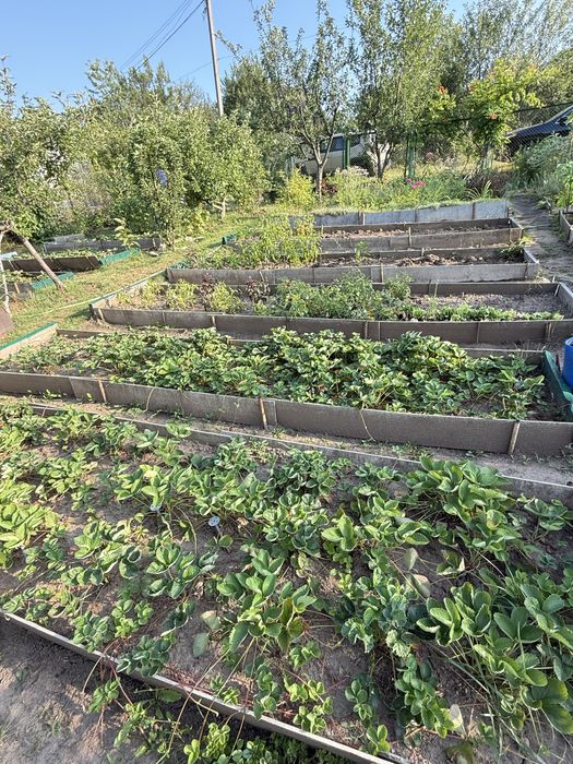 Продам дачу Ледное