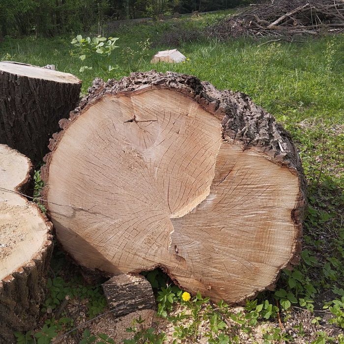 Drzewo opałowe,wierzba sprzedam