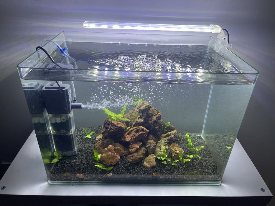 Aquario Peixes 60 litros