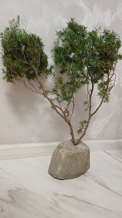 Ваза для аромо паличок,сухоцвіту, декору, медетаціїї,йоги.