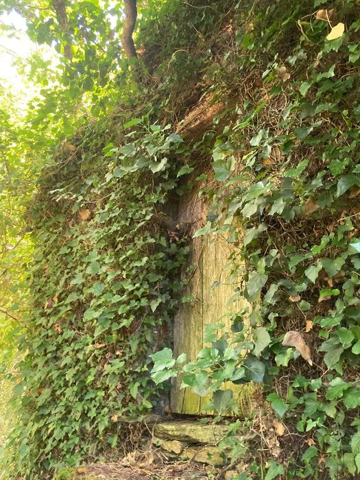 2 casas em pedra, xisto e lousa em ambiente natural