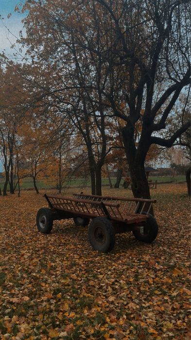 Domek  wynajem wieczor panienski kawalerski jacuzzi sauna paintball