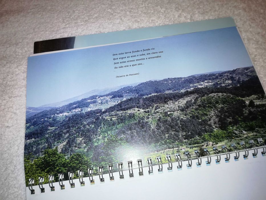 amarante (roteiro natural) 2001 livro