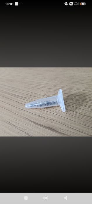 Nasiona dla kolekcjonerów