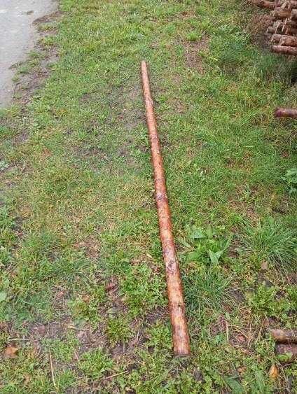 Paliki, tyczki do drzewek