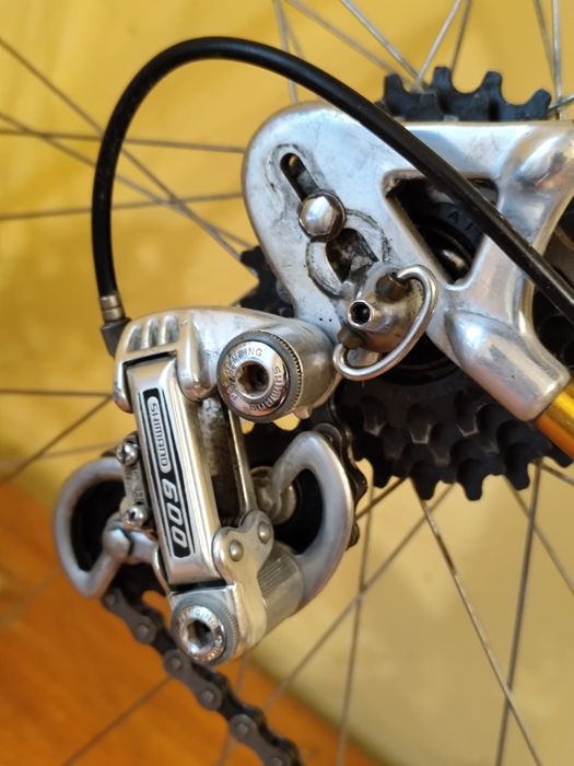 Kolarzowka złota Waja Alan Campagnolo 57cm