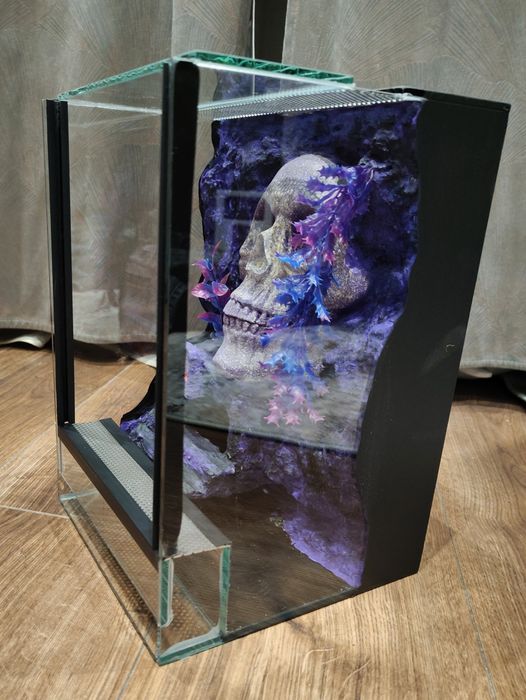 Terrarium dla pajaka