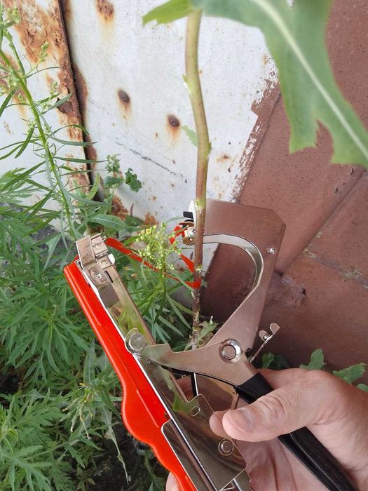 Набор для подвязки винограда, степлер, тапенер Tapetool, Тайвань