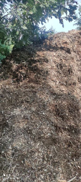 Zrębka / Trociny / Kora sosnowa