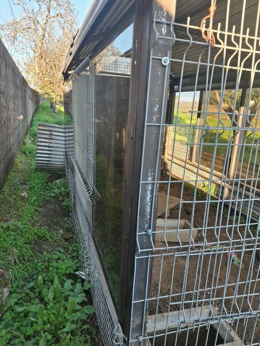 Abrigo, arrumos, Canil