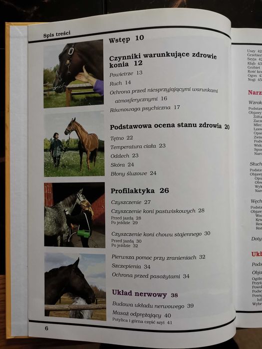 Koń zdrowy jak. Bożena Urbaniak-Czajka