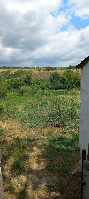 Продается Пол дома с.Шостакове