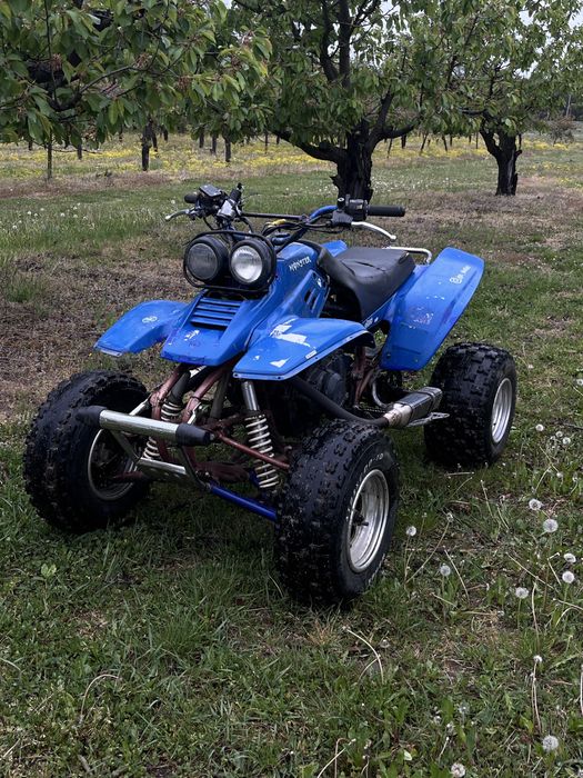 Yamaha Warrior 350 (swap gs500)