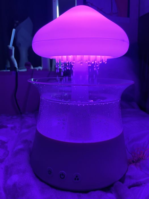 Зволожувач повітря гриб