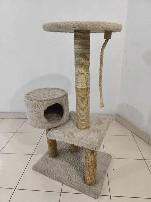 Arranhador para gatinhos