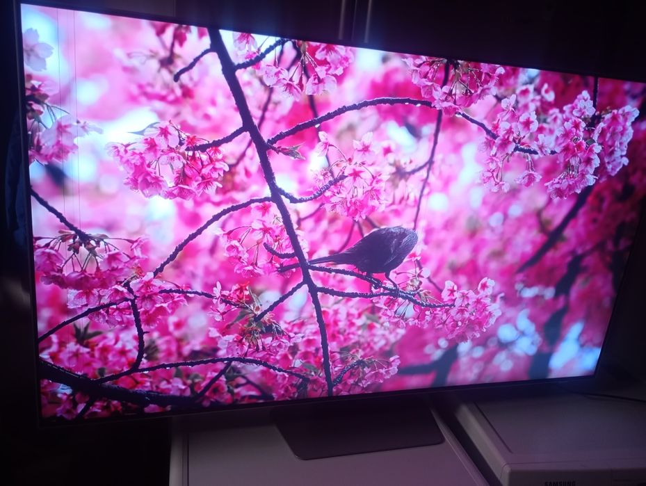 Samsung QE55QN85B MiniLED 120 Hz SmartTV