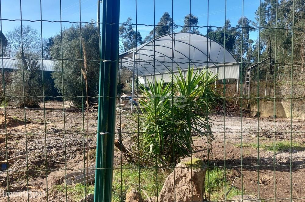 Terreno agrícola em Fragoso — Fragoso, Braga