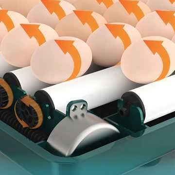Inkubator 9 Jaj Automat Z Obracaniem Monitoruje Wilgotność i Temperatu