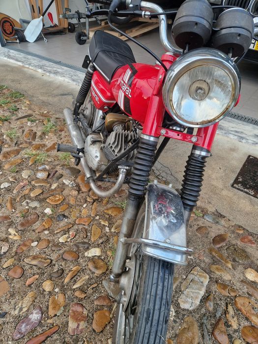 Casal 50 Mayal Original