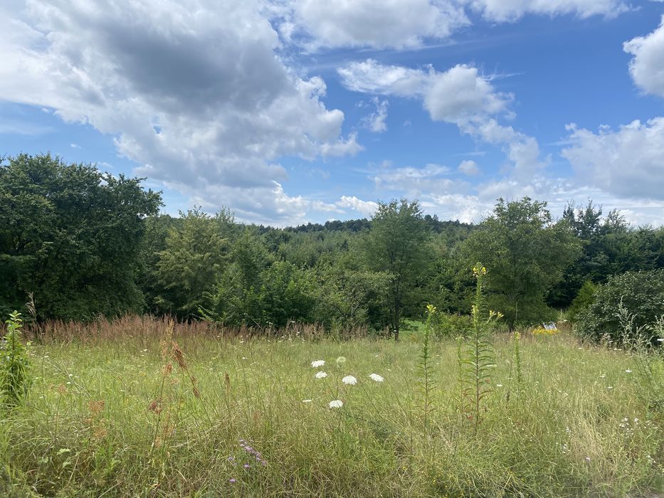 Продаж землі Івано-Франкове