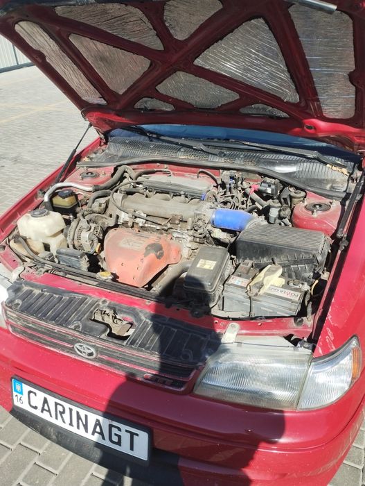 Carina e gti. 3sge 3 gen.