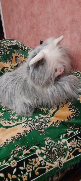 Продам кота мяка іграшка   і миши