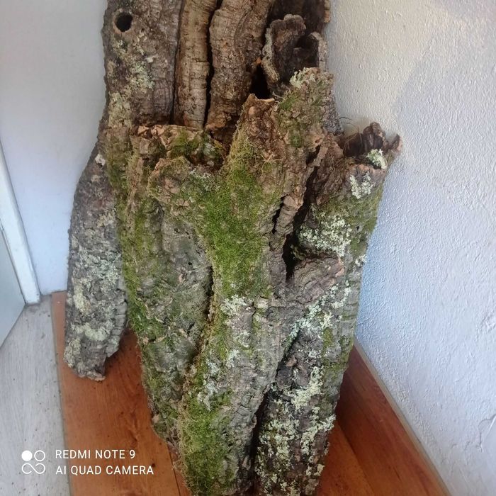 Tuby Korkowe do Terrarium