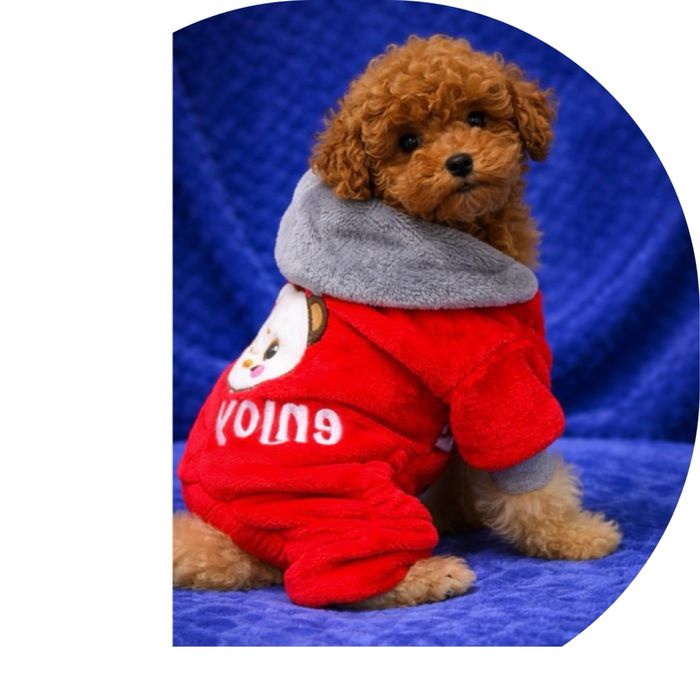 Тойчик стандарт НайШикарніше маля ред Браун