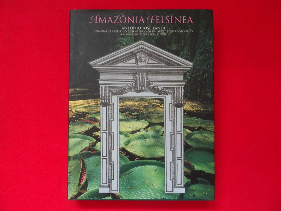Amazónia Felsínea - António José Landi