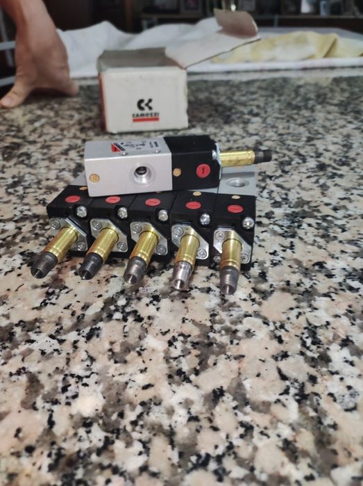 Eletrovavula camozzi