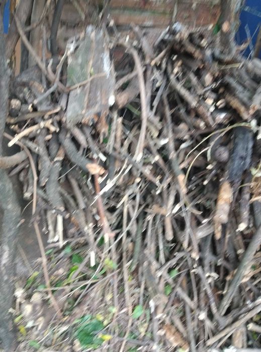 Отдам ветки дрова