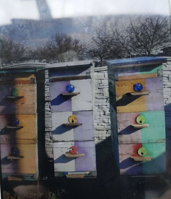 Улий для пчел многокорпуснуй