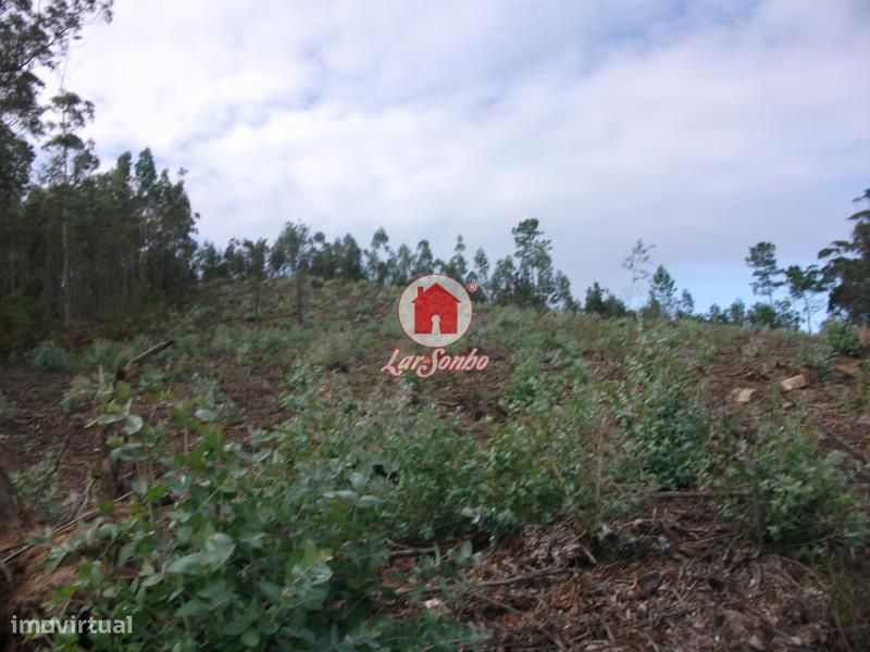 Terreno Florestal de 9.980m2 em Canidelo, Vila do Conde — Malta E Canidelo, Porto