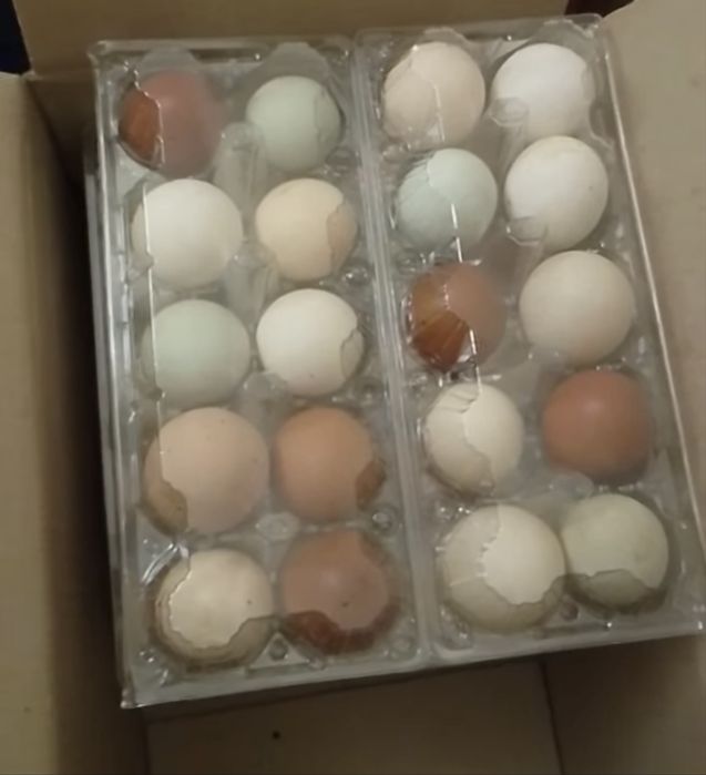 Продам разноцветное столовое яйцо