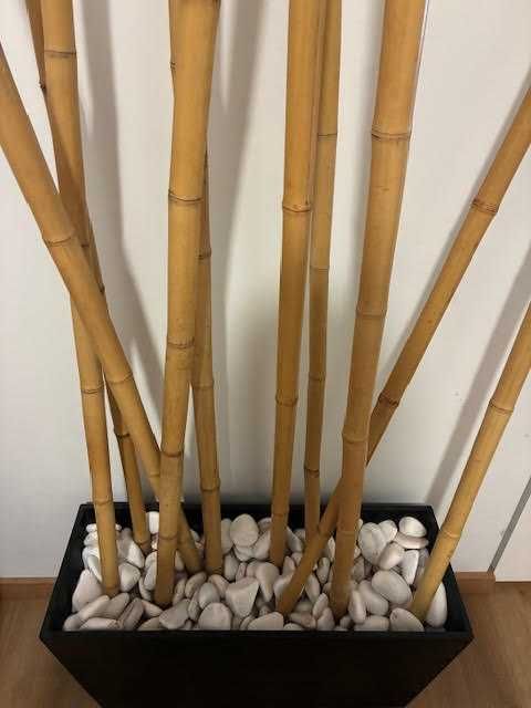 Vaso para exterior Bambu