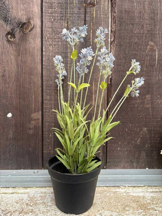 PLantas falsas decorativas