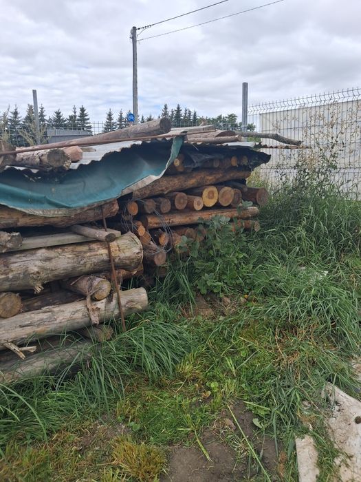 Drewno opalowe suche