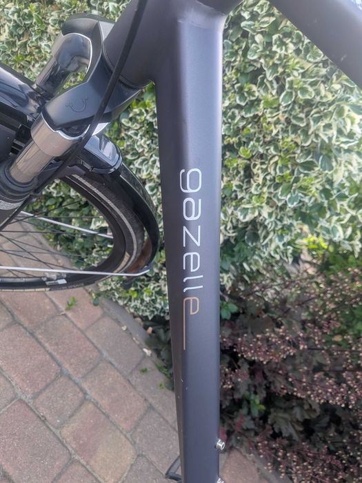 Rower Gazelle limited edition